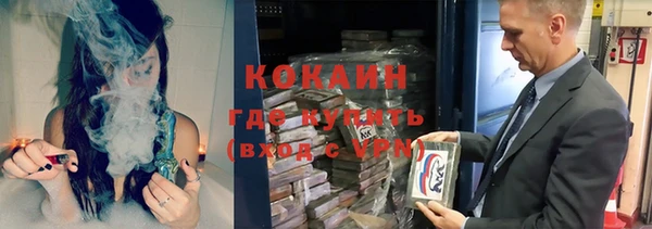 гашик Бикин
