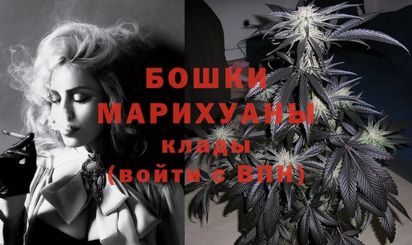 apvp Болотное
