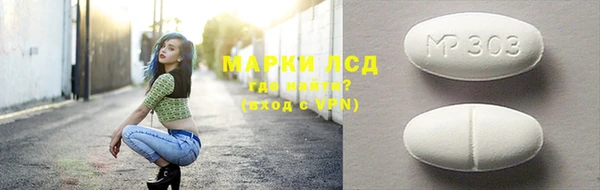 гашик Бикин