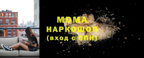 гашик Бикин