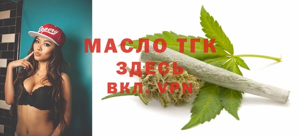 гидра Беслан