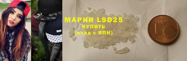 гашик Бикин