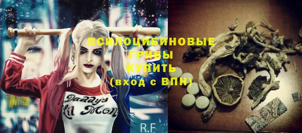 гашик Бикин
