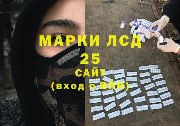 гашик Бикин