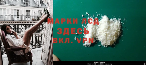 apvp Болотное