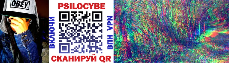 Псилоцибиновые грибы Cubensis  MEGA рабочий сайт  Инта 